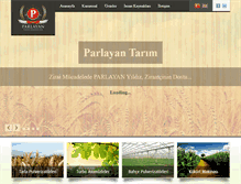 Tablet Screenshot of parlayan.com.tr
